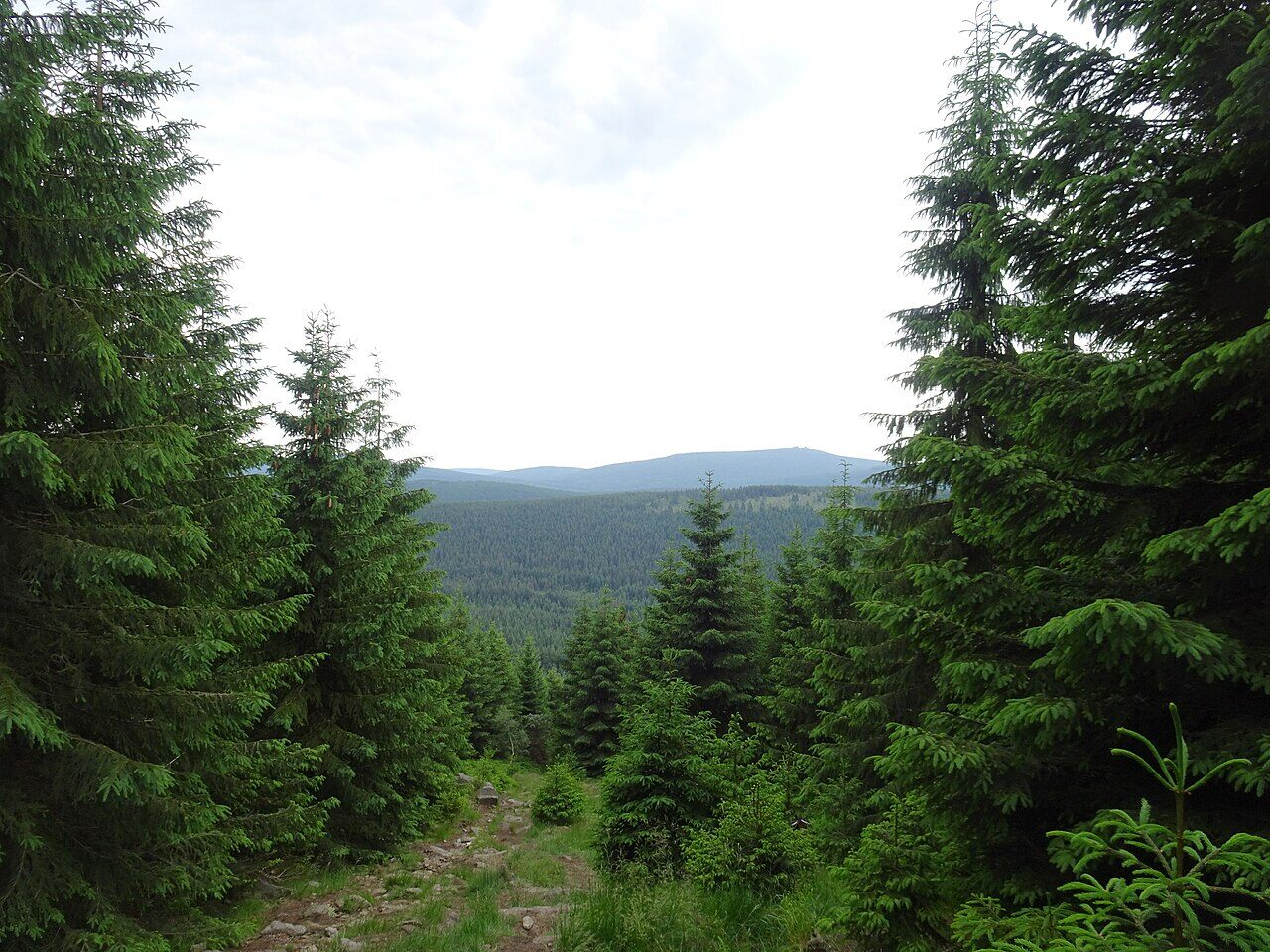 Jizerské hory — okolí věznice